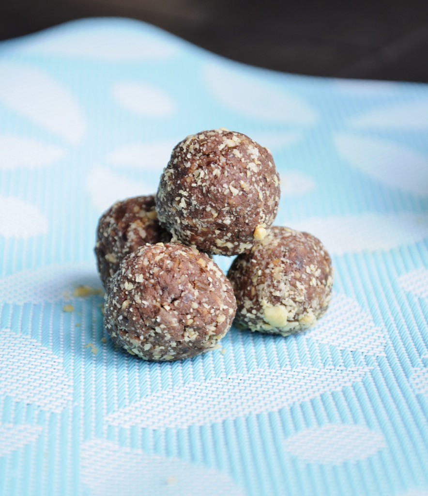 Vegan Chocolate Peanut Protein Ball Recipe - Vegan Family Recipes