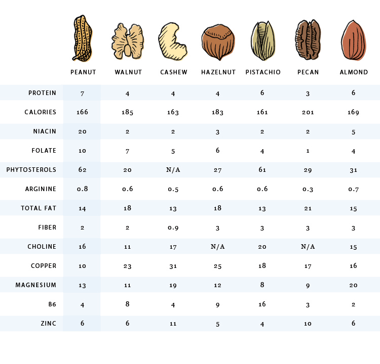 Fiber In Nuts Chart