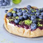 Raw Vegan Cheesecake Recipe - Vegan Family Recipes