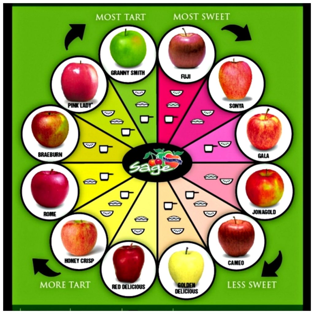 Different Apple Flavor types sweet tart for baking fresh raw infographic chart