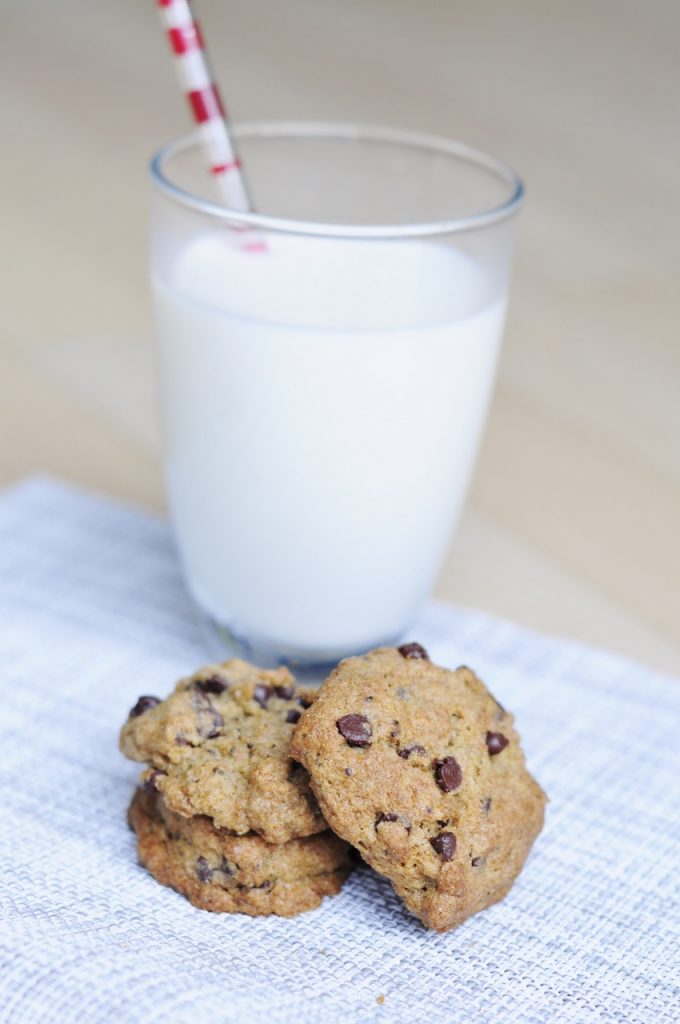 Chocolate Chip Chia Seed Cookies Recipe - Vegan Family Recipes