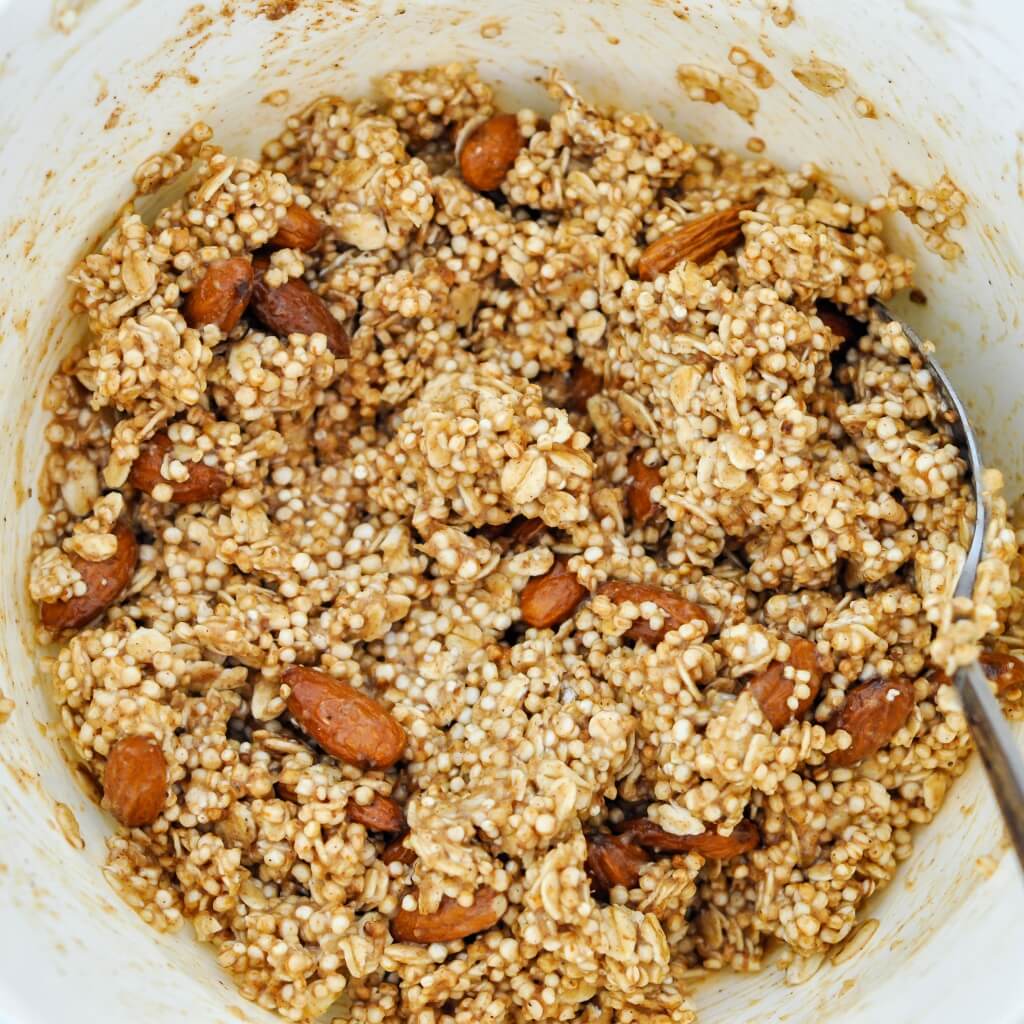 Puffed Quinoa Oat Bar mixture - Vegan Family Recipes