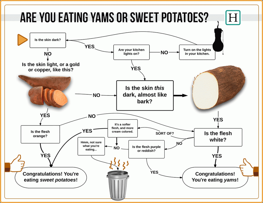 Yams or Sweet Potato how to tell difference Inforgraphic