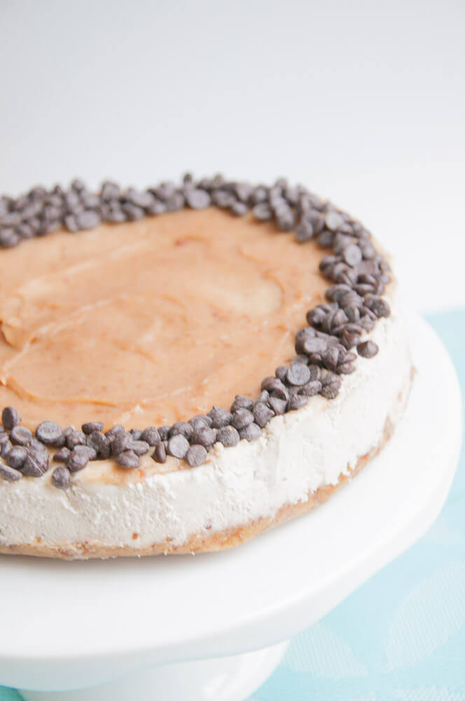 Vegan Caramel Cheesecake Recipe - Vegan Family Recipes