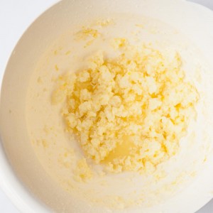 Vegan Coconut Oil Frosting Lemon Recipe - Vegan Family Recipes
