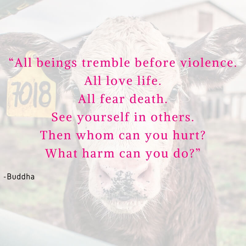 Vegan Quote Buddha Instagram Social Media - VeganFamilyRecipes.com