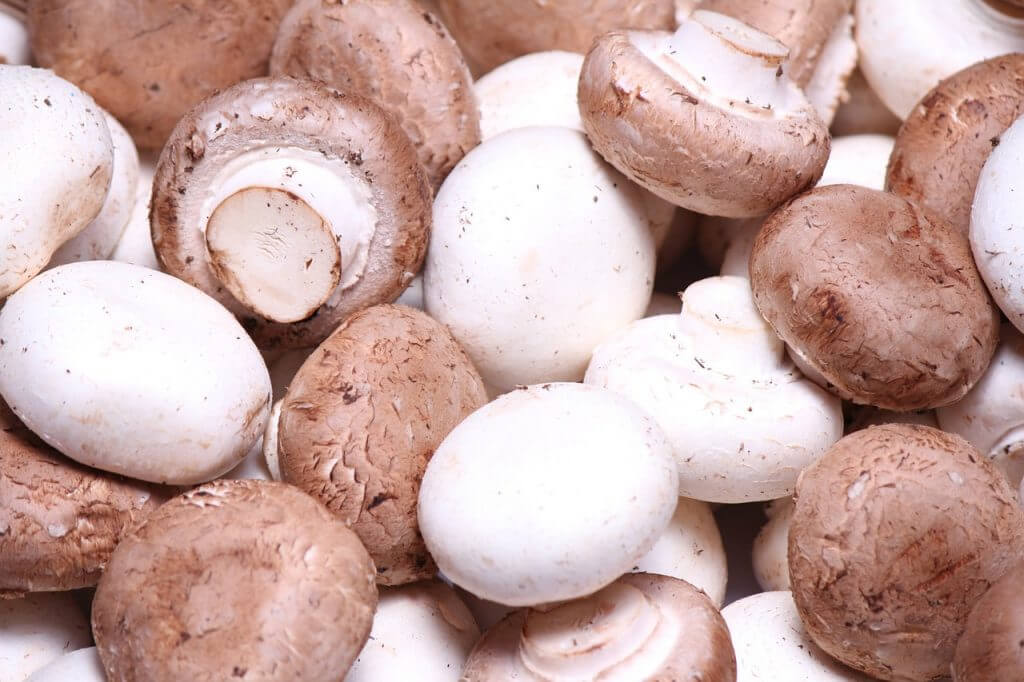 cremini mushrooms for soup - Vegan Family Recipes